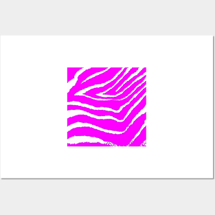 ZEBRA PINK Posters and Art